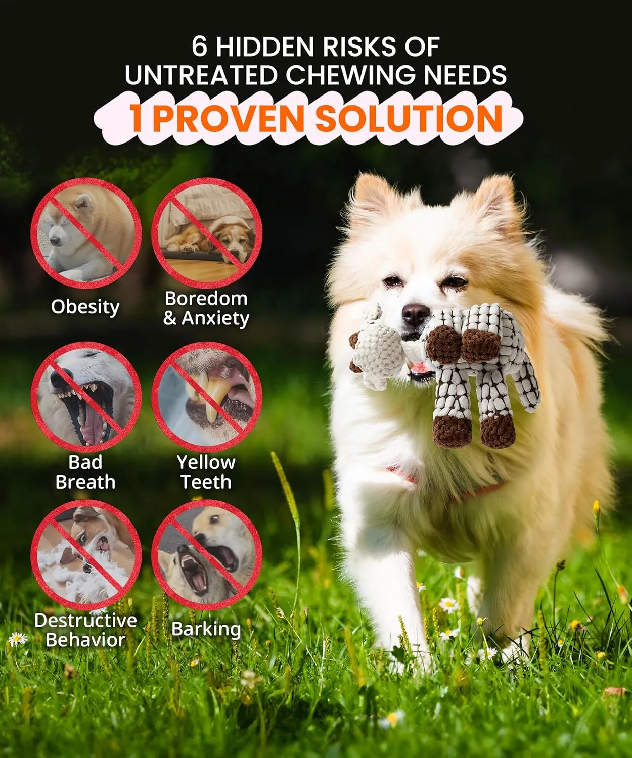 Stuffed Squeaky Plush Dog Toys - Adorable Animal Designs with Soft Cotton Filling, Fun Noisy Toys for Small, Medium & Large Dogs (White - Giraffe)