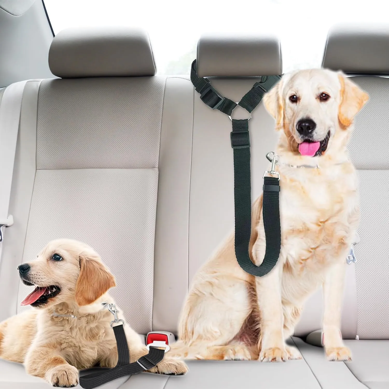 SunGrow Dog Seatbelt & Leash, Universal Vehicle Seatbelt Harness for Car Headrest, Pet Travel Essential, Adjustable Lead, Black Nylon, 19-31 & 14-19 x 17-30, 2 Pcs. Per Pack