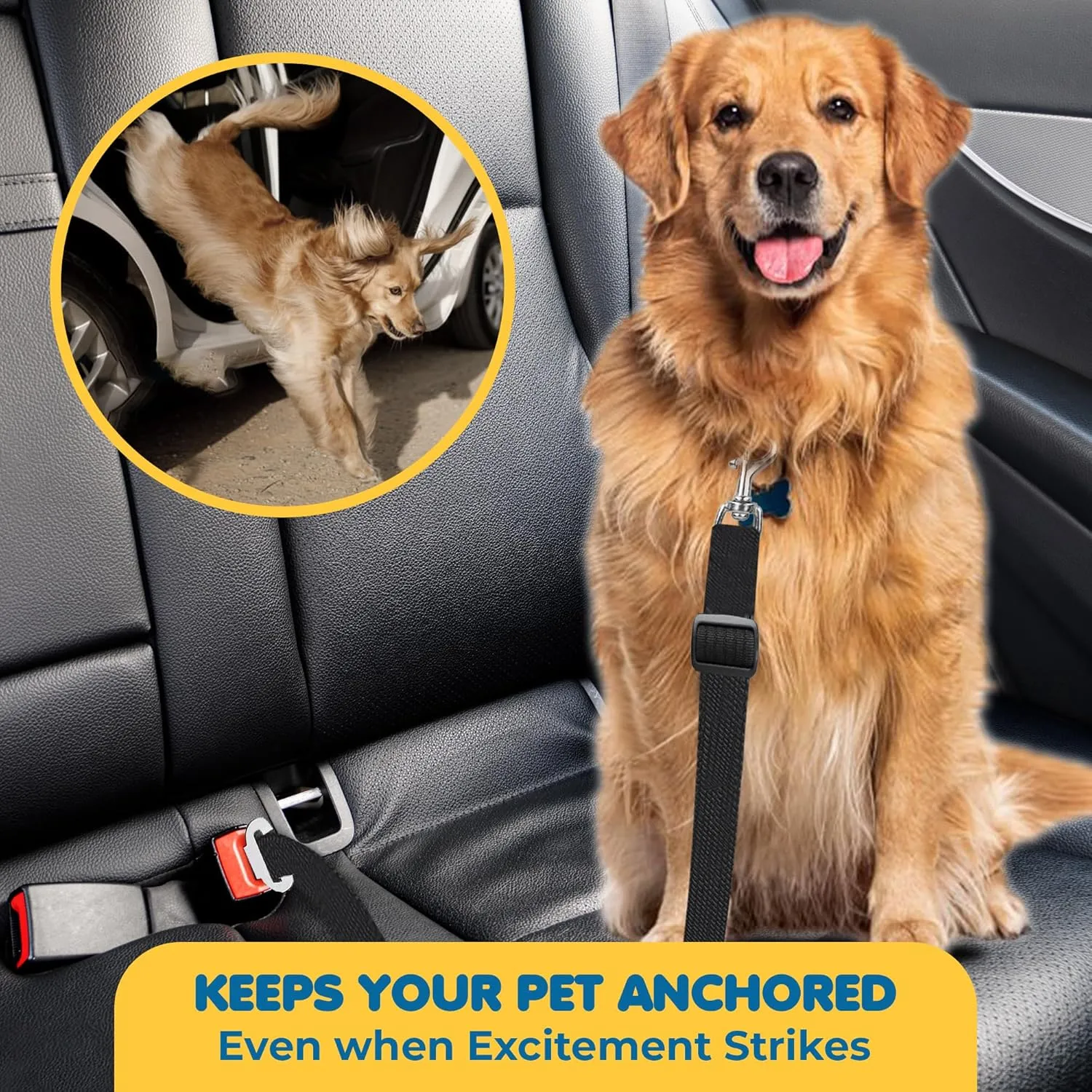 SunGrow Dog Seatbelt & Leash, Universal Vehicle Seatbelt Harness for Car Headrest, Pet Travel Essential, Adjustable Lead, Black Nylon, 19-31 & 14-19 x 17-30, 2 Pcs. Per Pack