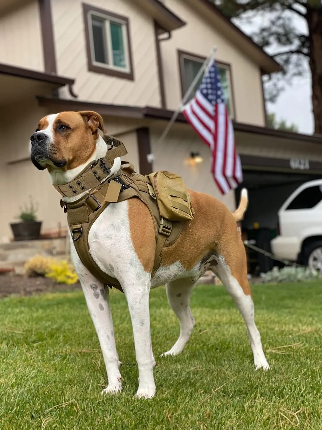 Tactical Dog Collar with Handle - Military Adjustable Dog Training Collar Soft Nylon and Heavy Duty Metal Buckle for Medium Large Dogs - with Patch (Brown with Patch, Medium)