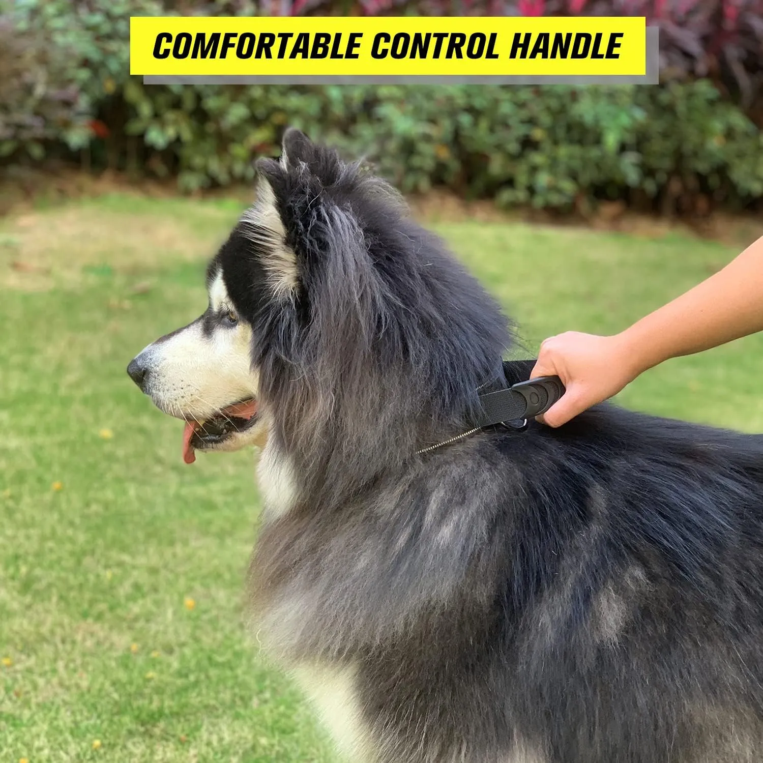 Tactical Dog Collar with Handle - Military Adjustable Dog Training Collar Soft Nylon and Heavy Duty Metal Buckle for Medium Large Dogs - with Patch (Brown with Patch, Medium)