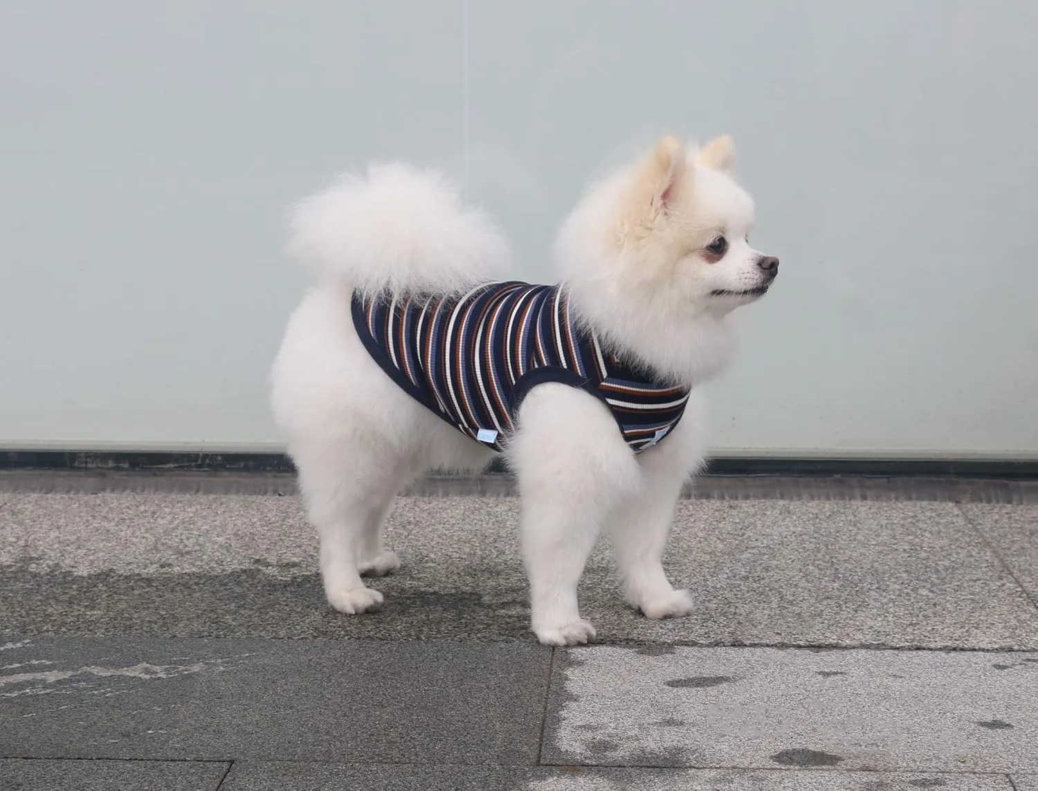 Teacup Dog Hawaiian Shirts, Puppy Clothes Summer T-shirts for Small Dogs and Cats, Printed Chihuahua Clothes Pet Apparel for Dog Boys