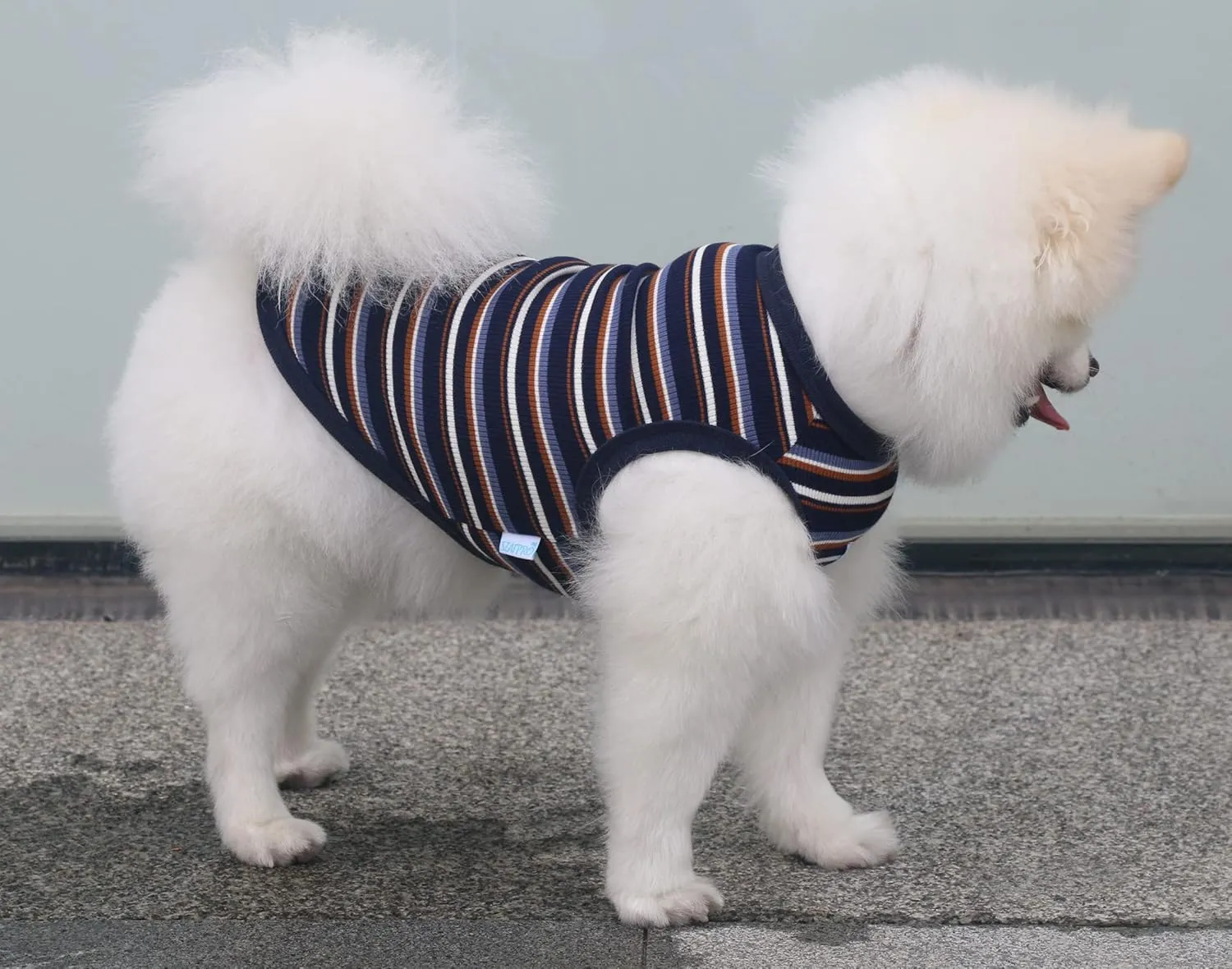 Teacup Dog Hawaiian Shirts, Puppy Clothes Summer T-shirts for Small Dogs and Cats, Printed Chihuahua Clothes Pet Apparel for Dog Boys
