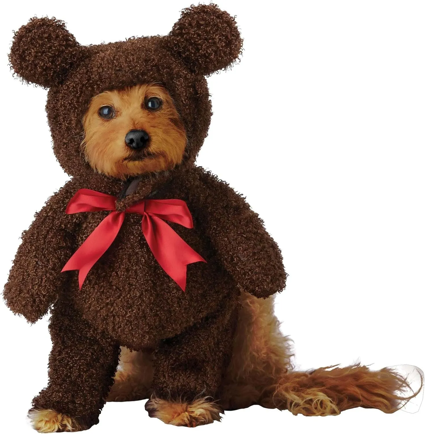 Teddy Bear Pet Costume Small