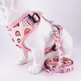 Trendy Rainbow personalized SET: Collar Harness Leash Set