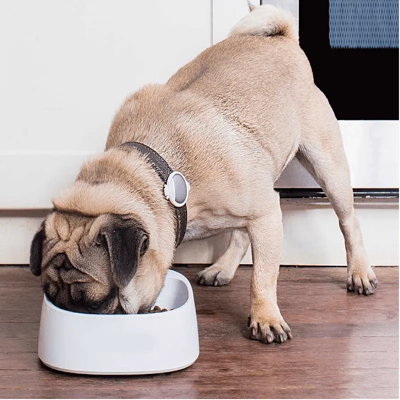 Versatile Antibacterial Pet Feeding Bowl With LCD Display AJ-5