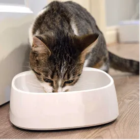 Versatile Antibacterial Pet Feeding Bowl With LCD Display AJ-5