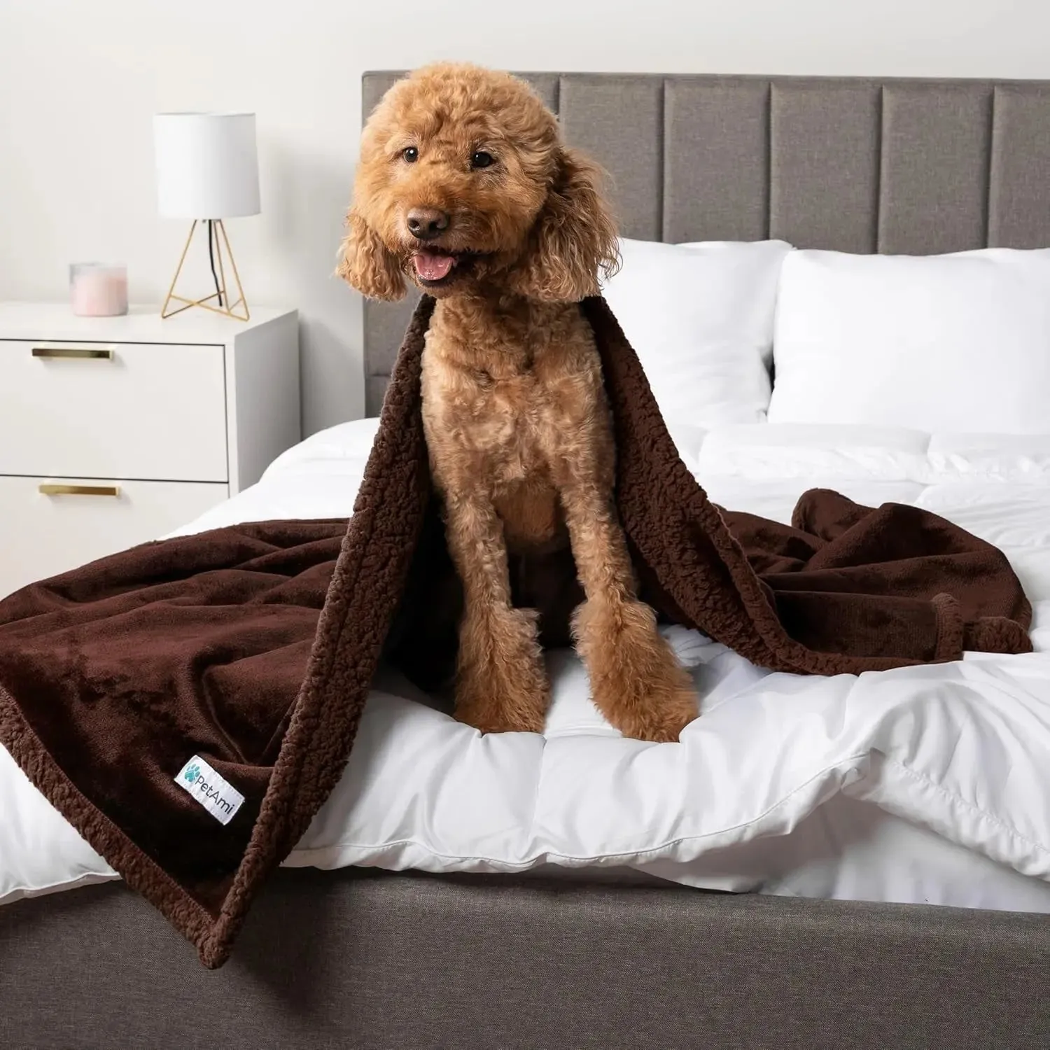 Waterproof Dog Blanket for Bed, Couch, Sofa | Waterproof Dog Bed Cover for Large Dogs, Puppies | Sherpa Fleece Pet Blanket Furniture Protector | Reversible Microfiber