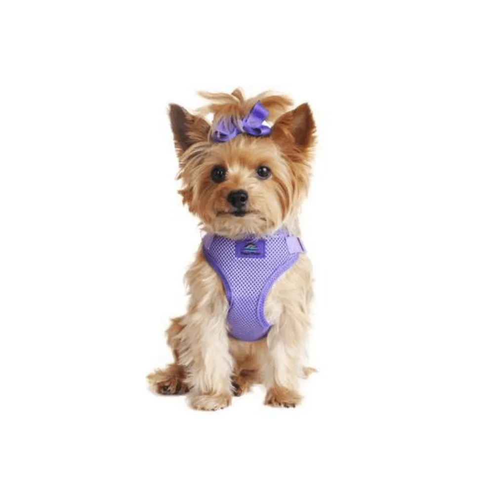 Wrap & Snap Choke Free Harness - Paisley Purple
