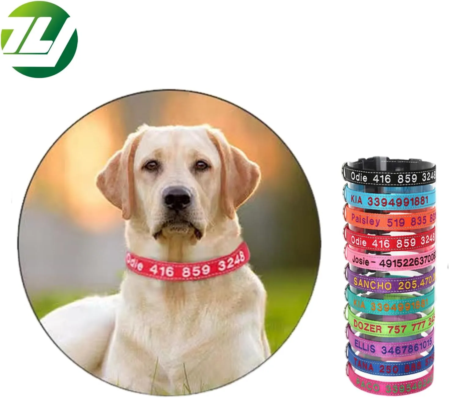 Yonsbox Dark Purple Reflective Personalized Dog Collar with Name Phone Number Quick Release Buckle Custom Embroidered for Boy Girl Small Medium Large Dogs